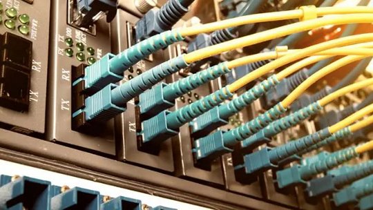Close up of cables in the server room