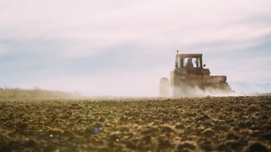 A tractor is seen working across a large, freshly plowed field under a bright sky. The scene captures the dust rising behind the vehicle as it moves through the soil.