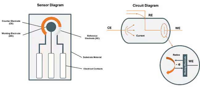This image illustrates the structure and function of an electrochemical sensor. The left section shows a schematic of the sensor with labeled electrodes, while the right side details the flow of current and the redox reaction at the working electrode. Visual elements include arrows indicating current direction and a circular diagram highlighting electron transfer.