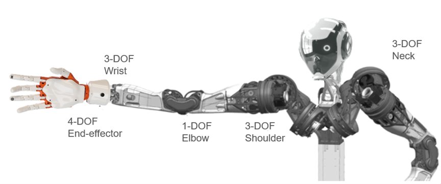 Illustration of a humanoid robot highlighting the articulated arm and neck joints. The image labels the 3-DOF neck, 3-DOF shoulder, 1-DOF elbow, 3-DOF wrist, and 4-DOF end-effector. Mechanical components and transparent housings reveal internal structures along the arm. The overall design emphasizes robotics engineering and motion control in a technical, schematic style.