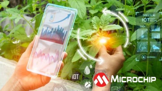 A person uses a transparent digital device to monitor plant health in a smart farming setup