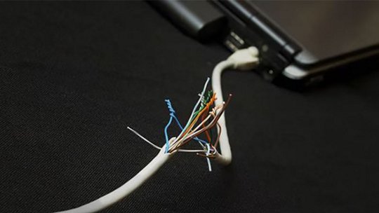 Damaged network cable with exposed wires, laying on a dark surface near a laptop.