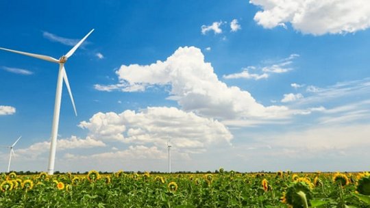 Éoliennes dans un champ de tournesols sous un ciel bleu