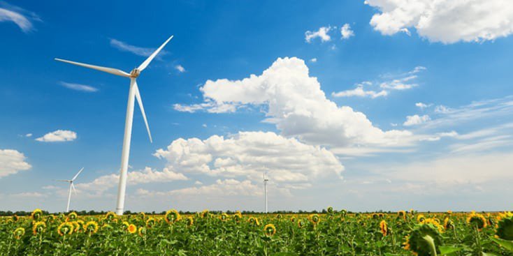 해바라기 밭에서 우뚝 서 있는 풍력 터빈의 아름다운 경치.