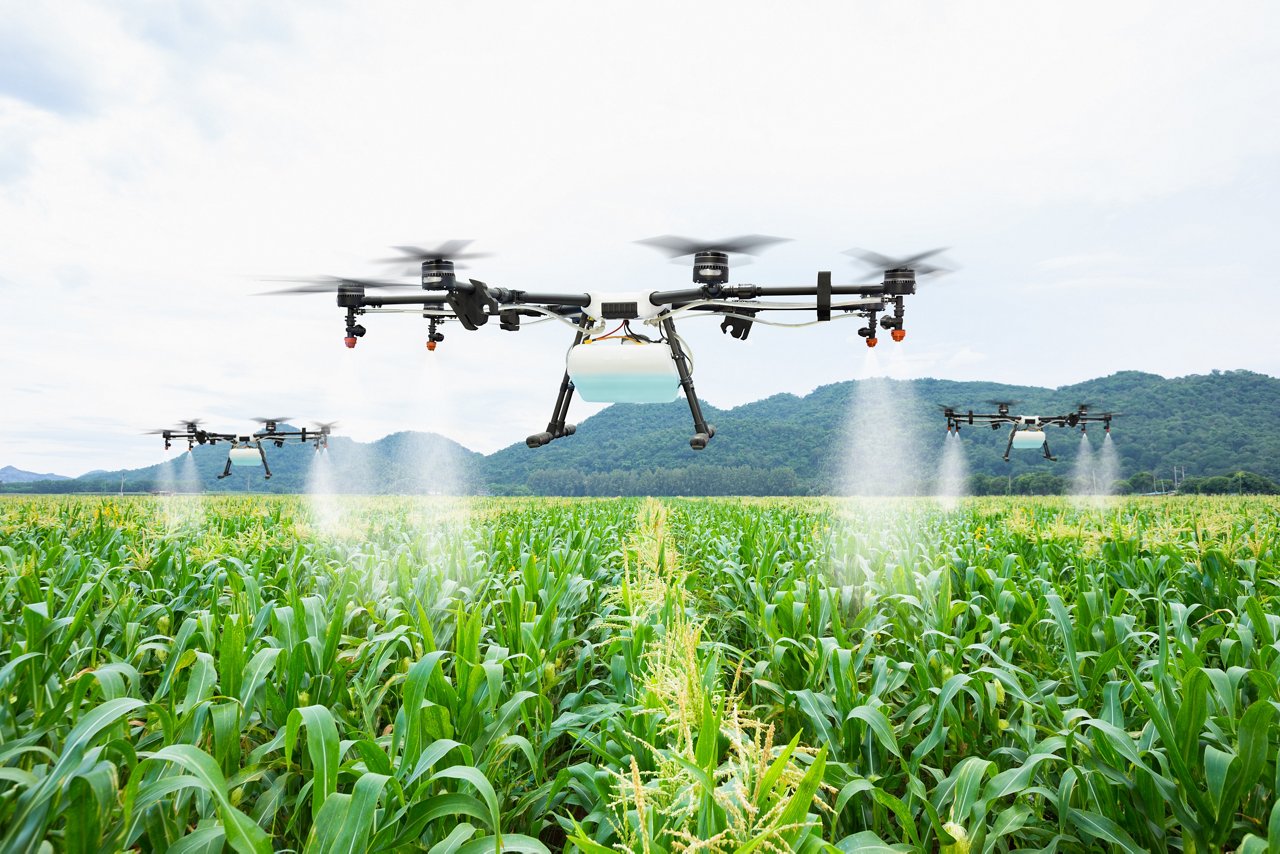 Droni che spruzzano colture in un campo agricolo verde, volando bassi sopra file di piante con la nebbia che si disperde sotto, mostrando la tecnologia dell’agricoltura di precisione sullo sfondo di colline e cielo.