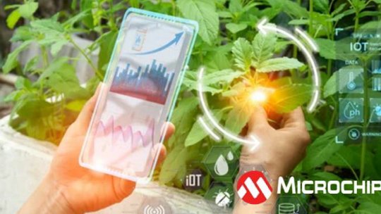 Una persona utiliza un dispositivo digital transparente para monitorear la salud de las plantas en una configuración de agricultura inteligente.