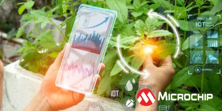 Una persona utiliza un dispositivo digital transparente para monitorear la salud de las plantas en un entorno de agricultura inteligente.