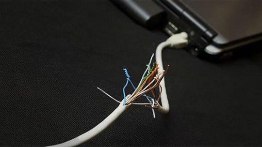 Damaged network cable with exposed wires, laying on a dark surface near a laptop.