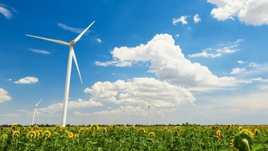 푸른 하늘 아래 해바라기 밭에 있는 풍력 터빈