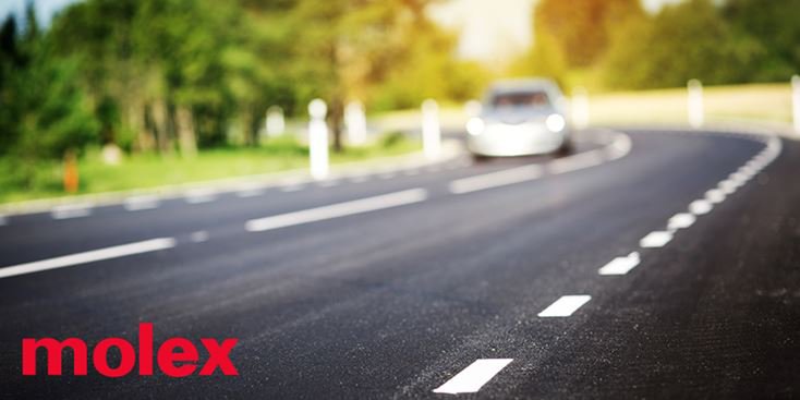 Curved asphalt road with white lane markings, a blurred car in the distance, and the company logo "molex" at the bottom.
