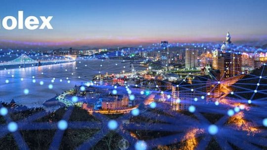 황혼의 생동감 넘치는 도시 풍경, 빛나는 건물들과 다리가 디지털 네트워크 시각화로 겹쳐진 모습.