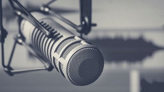 Close-up of a professional microphone with a metallic mesh design, set in a recording studio environment. The background features blurred soundwave visuals, emphasizing audio production. The monochromatic palette creates a sleek and modern aesthetic.
